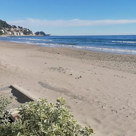 Acqua Di Alassio